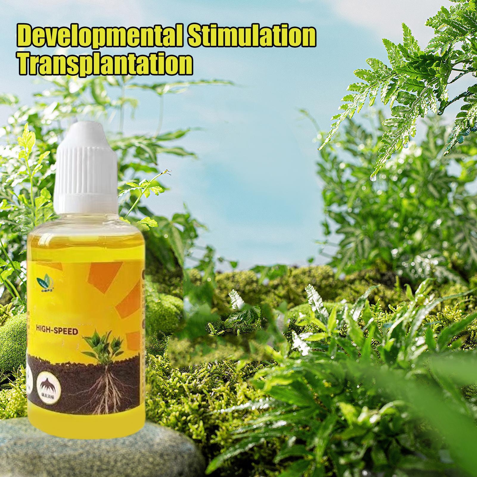50 ml Pflanzenwurzel-Stimulato – Root Stimulator Liquid Bewertung und Preis