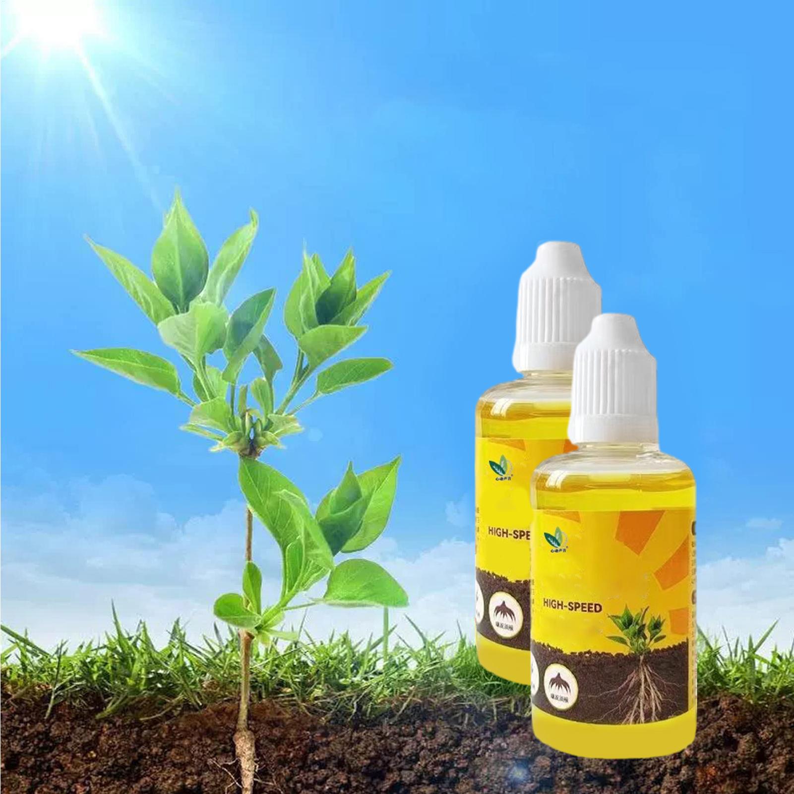 50 ml Pflanzenwurzel-Stimulato – Root Stimulator Liquid Bewertung und Preis