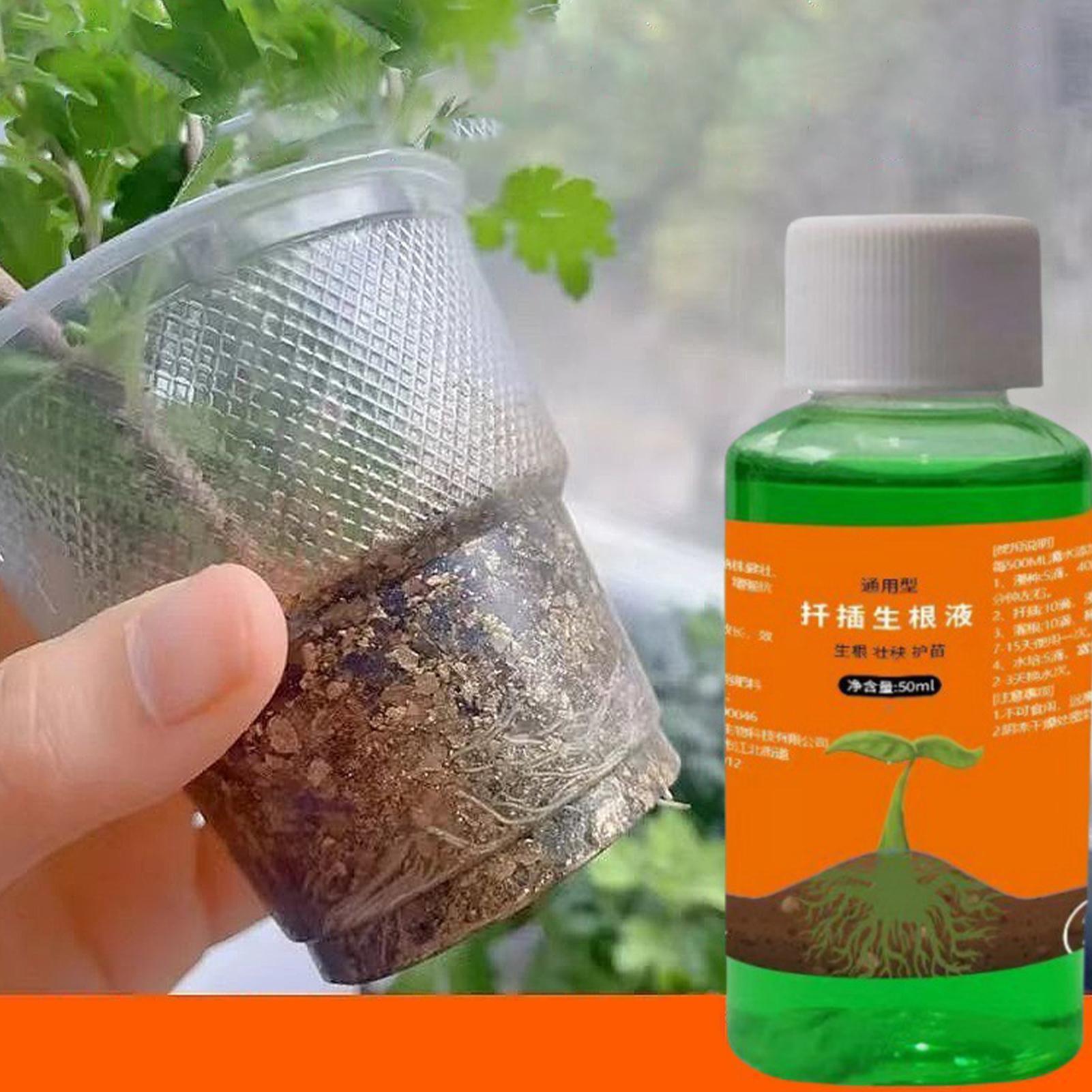 50 ml Transplantations-Nährlös – Root Stimulator Liquid Bewertung und Preis