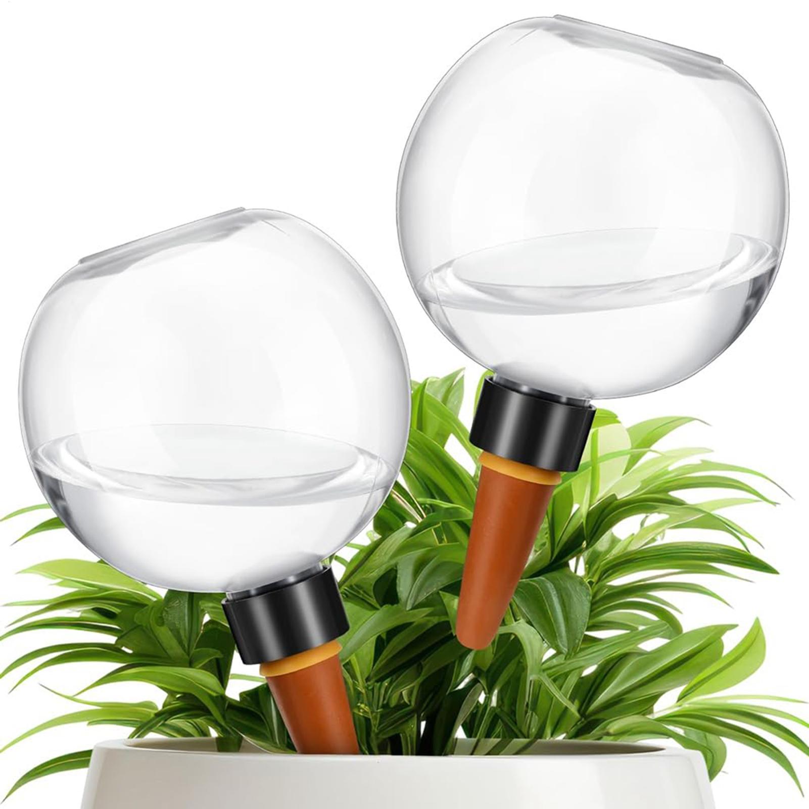 500 ml automatische Pflanzenbe – Self Watering Insert Bewertung und Preis