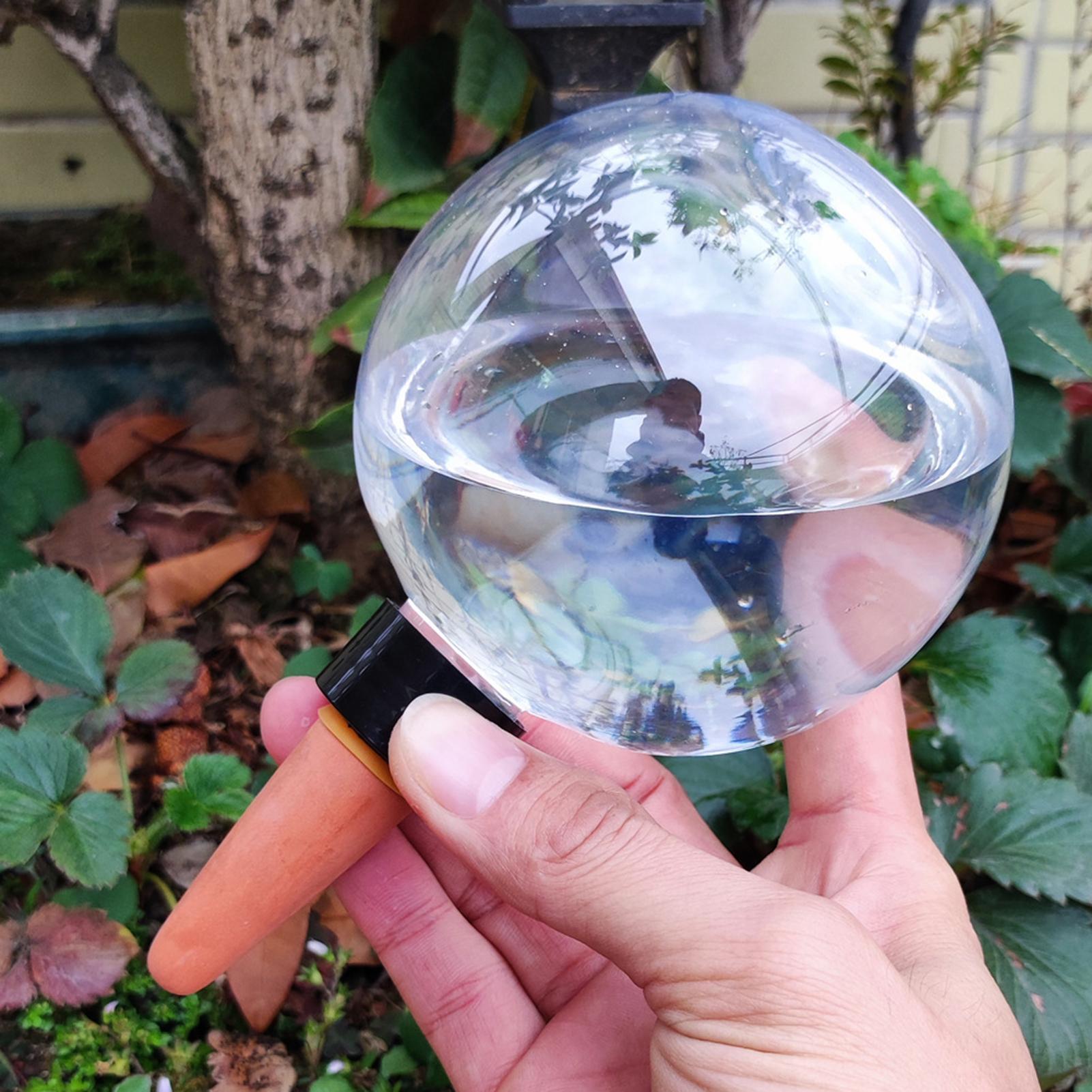 500 ml automatische Pflanzenbe – Self Watering Insert Bewertung und Preis